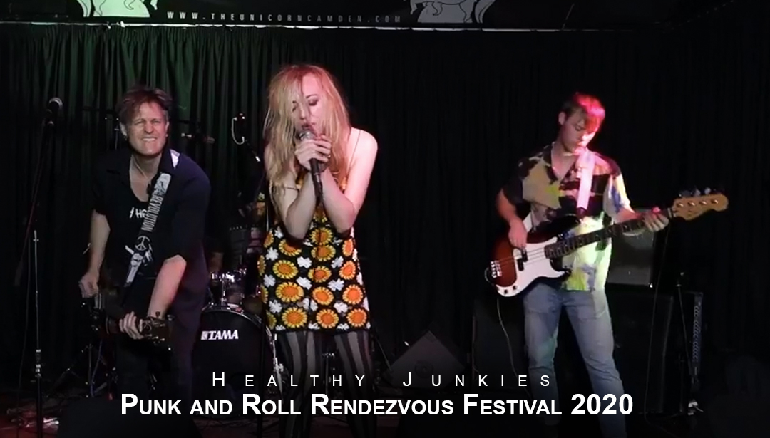 Healthy Junkies